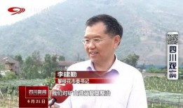 攀枝花孙先国新闻爆料