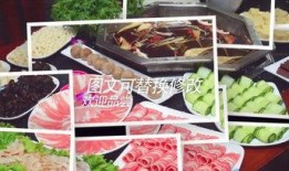 平城美食爆料视频大全下载,视频大全带你领略地道风味