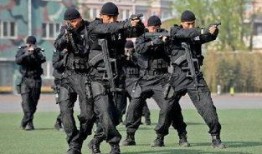 中国特警在线观看