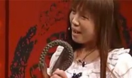 爆料马二小姐视频播放,揭秘幕后故事与网络热议
