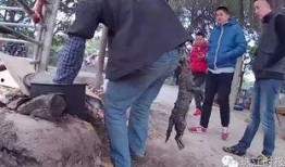 罗村爆料新闻最新情况,事件进展及影响深度解析