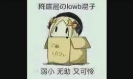 关关爆料箱录视频,揭秘录视频幕后故事