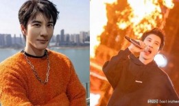 王力宏爆料图片大全视频,独家揭秘背后的故事与瞬间