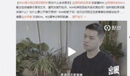 阿振前妻爆料视频,婚姻真相曝光