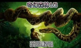 奇幻森林超清在线观看