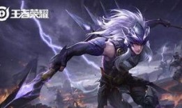 王者大爆料赵云是谁啊视频,揭秘赵云的真实身份