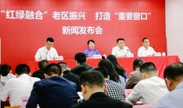 景宁新闻爆料视频