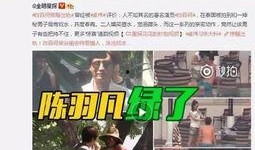 陈赫徐峥爆料事件视频播放,娱乐圈真相大揭秘