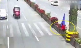 横穿马路爆料视频,引发网友热议