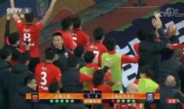 上海上港队最新爆料,揭秘球队备战新赛季的备战秘籍