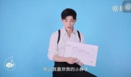 王岳的历史爆料视频,揭开尘封往事的神秘面纱