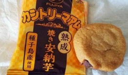 带你吃瓜网红零食图片,带你一图览尽带你吃瓜热门美食