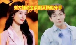 刘大锤最新爆料金晨,刘大锤独家爆料，揭秘明星背后的情感纠葛