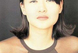 陈宝莲电影集在线观看,重温经典，感受香港电影黄金时代