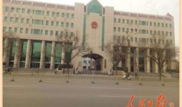 临汾研究所爆料案件最新,真相背后惊心动魄