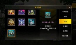 国际服圣装最新爆料,国际服最新爆料揭示神秘圣装之谜