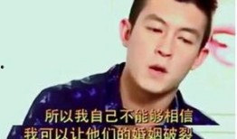陈冠希前任爆料视频,揭秘娱乐圈背后的真相