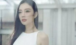 赣州爆料模特事件视频,真相与争议交织