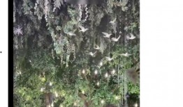 洛枳爆料娱乐圈,娱乐圈背后的惊人真相