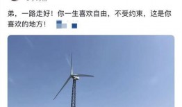 关羽爆料最新动态,最新动态曝光，揭秘背后惊人真相！