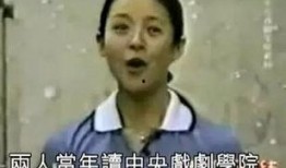 刘烨个人爆料视频播放,个人爆料视频背后的故事