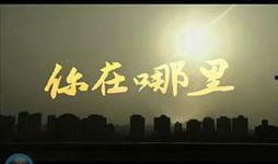 娱乐最新爆料新闻视频大全,最新爆料新闻视频大盘点