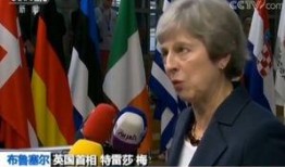 欧盟官员爆料新闻视频下载,揭秘内幕与真相