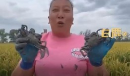 雨姐粉丝爆料是真的吗视频,雨姐粉丝爆料视频真实性揭秘