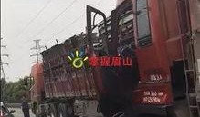 长春大货车爆料视频曝光,揭秘货车行业乱象