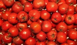 山楂加工爆料怎么做视频,视频带你领略山楂加工全过程