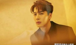 王嘉尔综艺爆料前任视频,前任往事引发热议