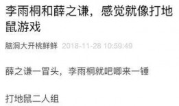 你们的吃瓜日记免费阅读,免费阅读背后的故事与精彩瞬间