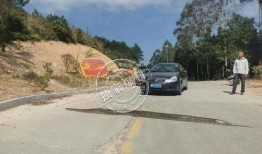 横穿马路爆料视频,引发网友热议