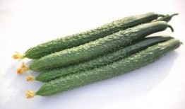 古茗新瓜最新爆料,揭秘神秘新品背后的故事