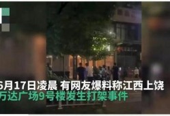爆料打架事件视频最新版,打架事件视频再升级，真相究竟如何？