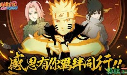 火影叶子爆料视频大全最新,揭秘忍者世界神秘面纱